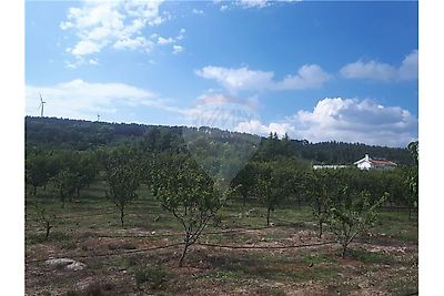 Quinta T2 à venda em Caria, Moimenta da Beira