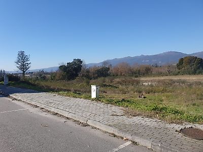 Terreno à venda em Molelos, Tondela