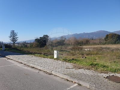 Terreno à venda em Molelos, Tondela
