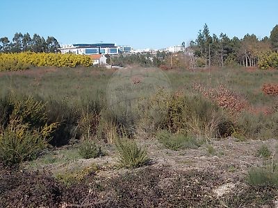 Terreno à venda em São João de Lourosa, Viseu