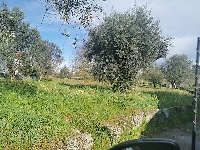 Terreno à venda em Tondela e Nandufe, Tondela