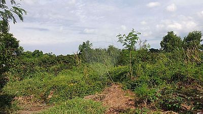 Terreno à venda em Lordosa, Viseu