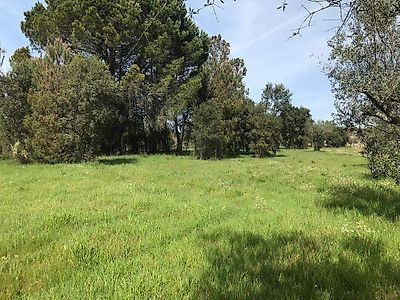 Terreno à venda em Canas de Senhorim, Nelas