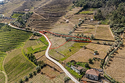 Terreno à venda em Covas do Douro, Sabrosa