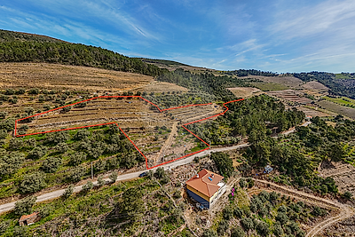 Terreno à venda em Covas do Douro, Sabrosa
