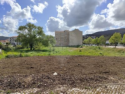 Terreno à venda em São Pedro de Castelões, Vale de Cambra