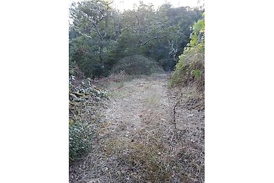 Terreno à venda em Capela, Penafiel