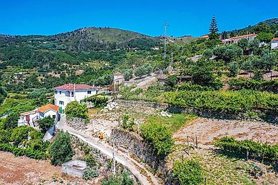 Terreno à venda em Santa Cruz do Douro e São Tomé de Covelas, Baião