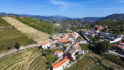Moradia T8 à venda em Lobrigos (São Miguel e São João Baptista) e Sanhoane, Santa Marta de Penaguião