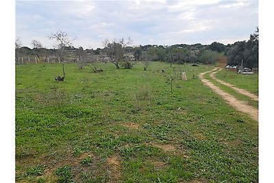 Land for sale in Lagoa e Carvoeiro, Lagoa (Algarve)