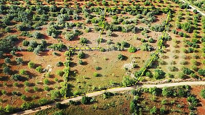 Terreno à venda em São Bartolomeu de Messines, Silves