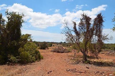 Terreno à venda em Ferreiras, Albufeira