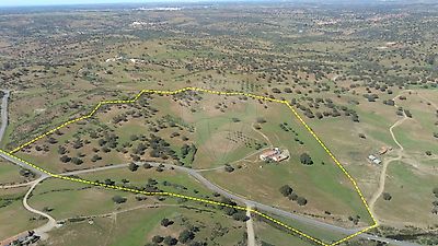 Quinta T1 à venda em Almodôvar e Graça dos Padrões, Almodôvar