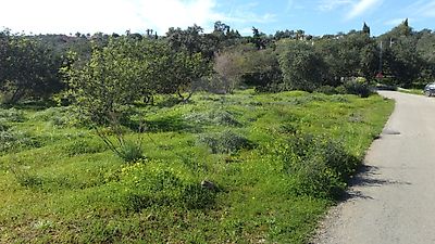 Terreno à venda em Boliqueime, Loulé