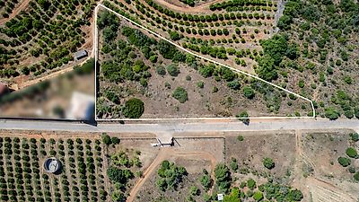 Land for sale in Silves, Silves