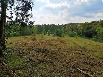 Terreno à venda em Asseiceira, Tomar