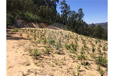 Terreno à venda em Cinfães, Cinfães