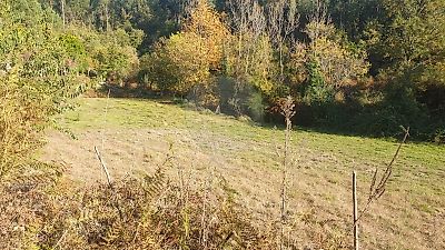 Terreno à venda em Tabuado, Marco de Canaveses