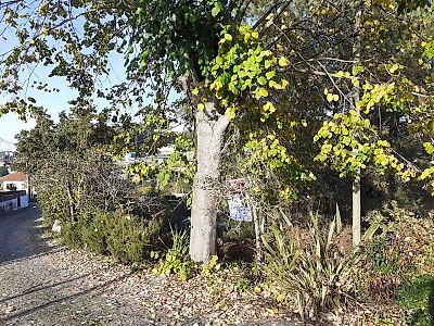 Terreno à venda em Soalhães, Marco de Canaveses