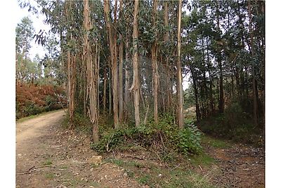 Terreno à venda em Pala, Mortágua