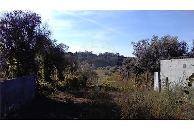 Terreno à venda em Silgueiros, Viseu