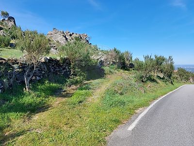 Terreno à venda em Guardão, Tondela