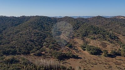 Quinta à venda em Colos, Odemira