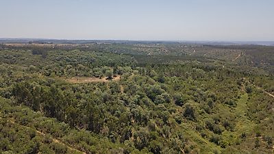 Terreno à venda em São Teotónio, Odemira
