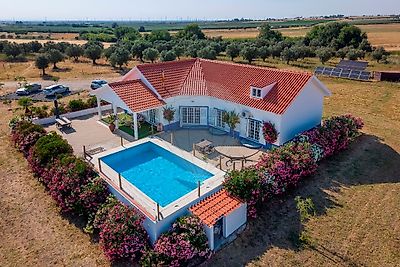Quinta T3 à venda em Ferreira do Alentejo e Canhestros, Ferreira do Alentejo | RE/MAX Portugal