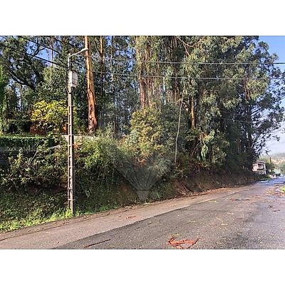 Terreno à venda em Vila de Cucujães, Oliveira de Azeméis
