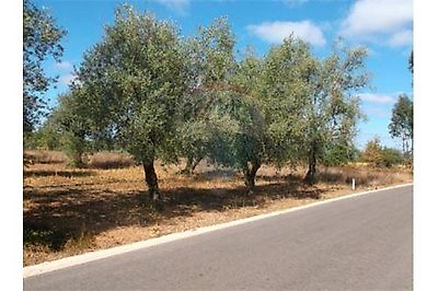 Terreno à venda em Pombal, Pombal