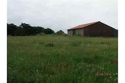 Terreno à venda em Monte Real e Carvide, Leiria