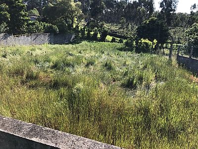 Terreno à venda em Pombal, Pombal