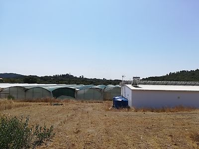 Terreno à venda em Alvaiázere, Alvaiázere