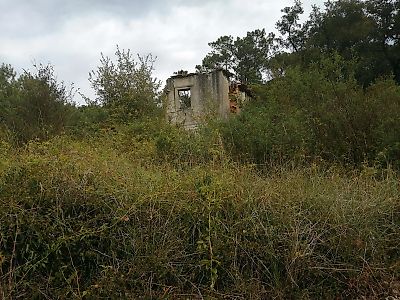 Terreno à venda em Pombal, Pombal