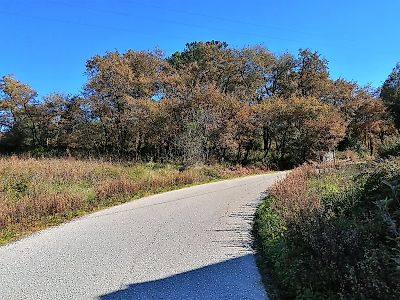Terreno à venda em Abiul, Pombal