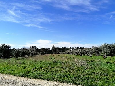 Terreno à venda em Redinha, Pombal