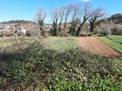 Terreno à venda em Abiul, Pombal
