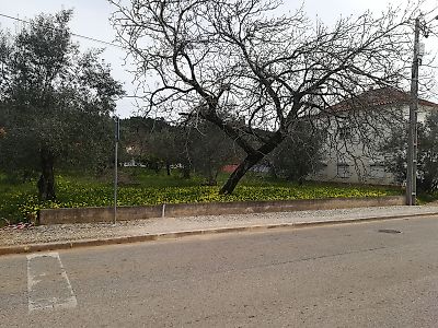 Terreno à venda em Alvaiázere, Alvaiázere