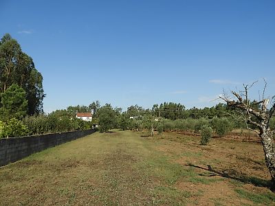 Terreno à venda em Vermoil, Pombal