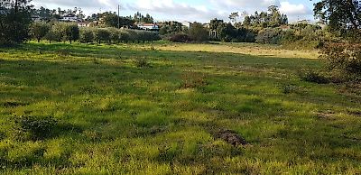 Terreno à venda em Pombal, Pombal