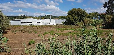 Terreno à venda em Pombal, Pombal