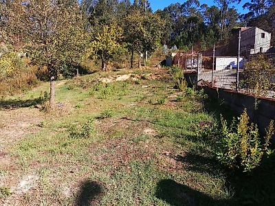 Terreno à venda em Pombal, Pombal