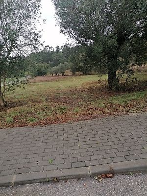 Terreno à venda em Colmeias e Memória, Leiria