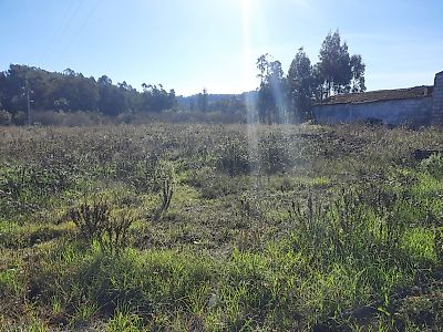 Terreno à venda em Almagreira, Pombal