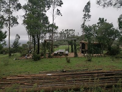 Terreno à venda em Degracias e Pombalinho, Soure