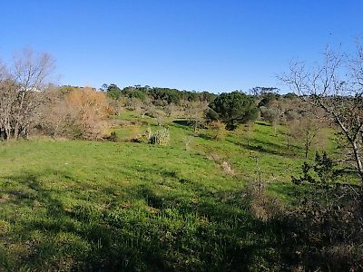 Terreno à venda em Pombal, Pombal
