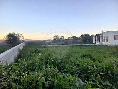 Terreno à venda em Maçãs de Dona Maria, Alvaiázere