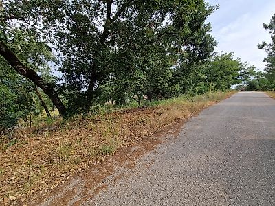 Terreno à venda em Pombal, Pombal