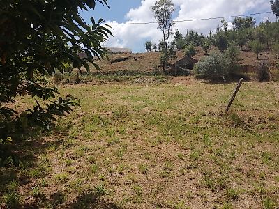 Terreno à venda em Vila Facaia, Pedrógão Grande